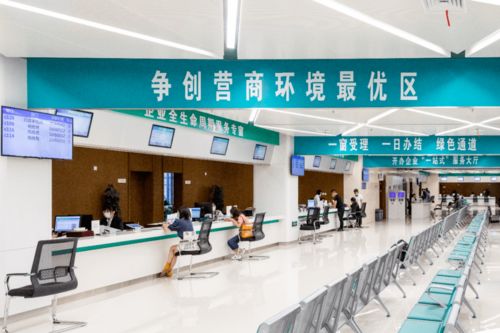 打造'溧即辦'黨建新品牌，讓服務(wù)窗口成為'人心窗口'